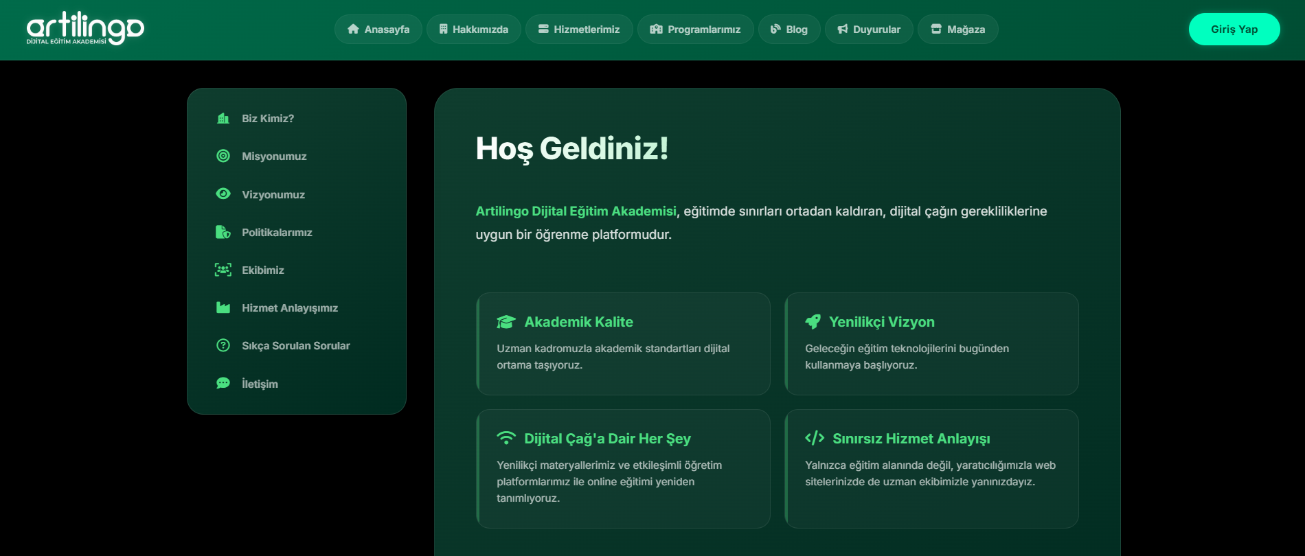 artilingo.com Görseli