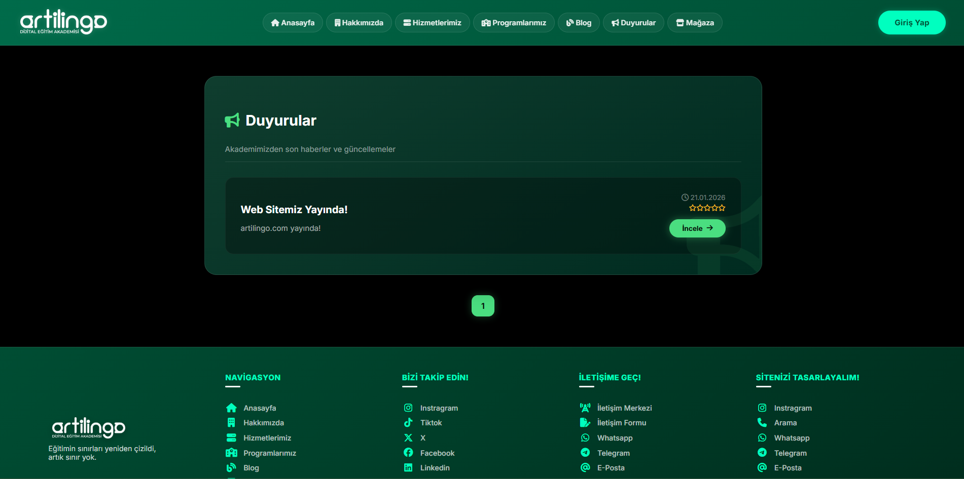 artilingo.com Görseli
